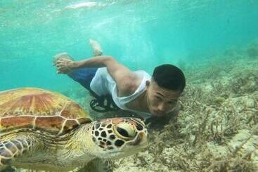 ペンション Moalboal Indino S Guesthouse Sardines Run And Sea Turtle 1 Minute Walking Distance