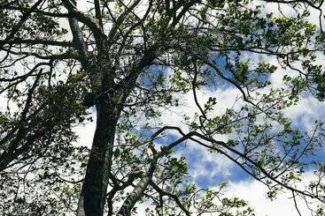 Hotel Selina Bragança