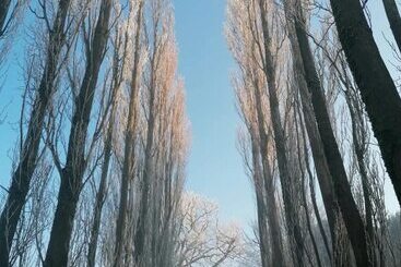 Captivating 1 Bed Cottage In Ross On Wye