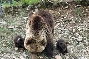 ペンション радуга
