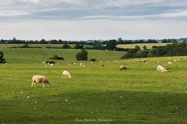 Bed and Breakfast Park Farm