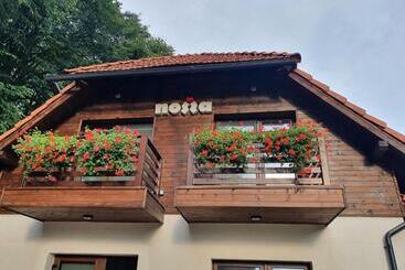 تختخواب و صبحانه Pensiunea Nossa Panzió