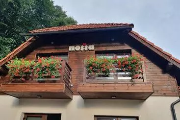 Bed & Breakfast Pensiunea Nossa Panzió