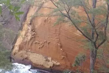 Aamiaismajoitus (B&B) Les Oliviers Sous Le Cocotier Chambre D Hôtes
