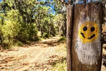 Pensione Welcome To Vineside