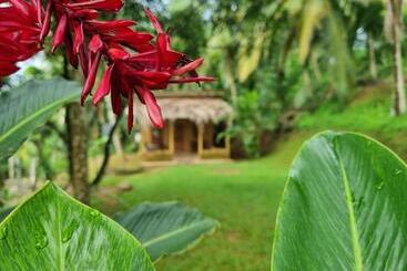 The Nature S Resort, Hanwella