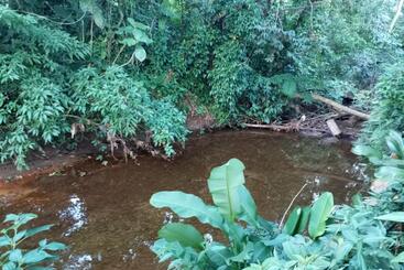 Pansiyon Pousada 5 Cachoeiras