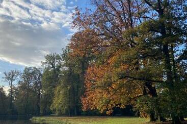 Bed And Breakfast Carma Arnhem