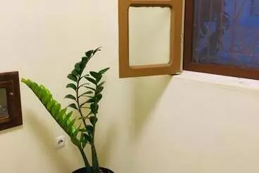 ベッドアンドブレックファースト Constança Retreat