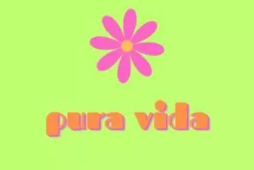 Pensió Piyo Vida Guesthouse