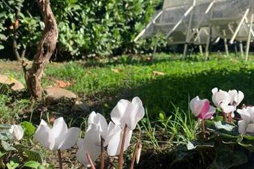 مبيت وإفطار R&b Dalla Licia