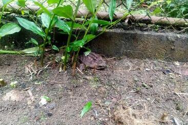 Bed & Breakfast La Casita