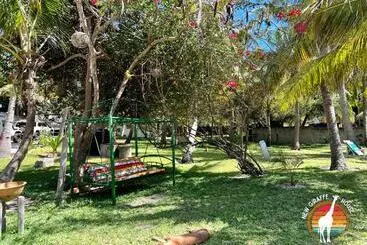 Bed & Breakfast New Giraffe House