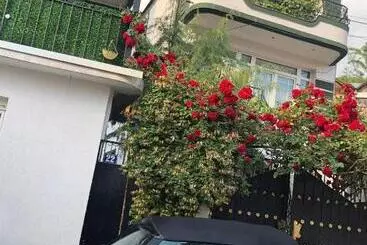 تختخواب و صبحانه Adem S Cozy Terrace Retreat