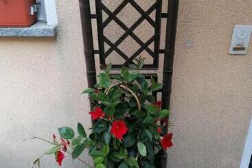 ペンション Le Palme