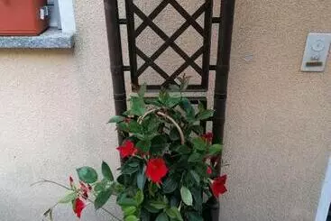 ペンション Le Palme