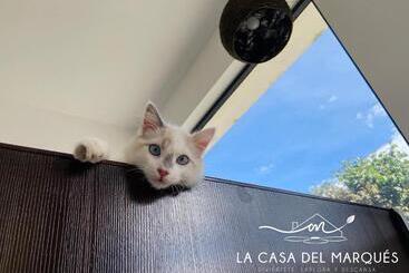 فندق La Casa Del Marqués