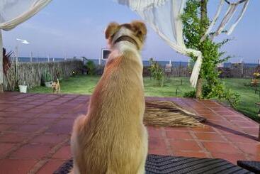 تختخواب و صبحانه Vila Dalva