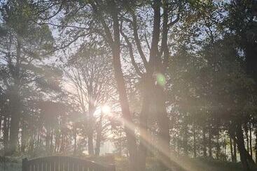 Royal Swan, Ashley Manor   B&b