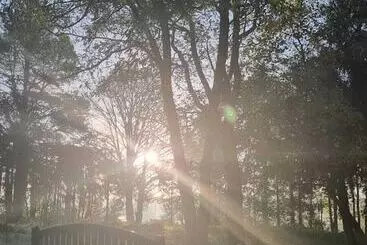 Royal Swan, Ashley Manor   B&b