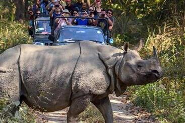 هتل Nepal Inn Sauraha  Relax And Refresh   A Perfect Family Getaway