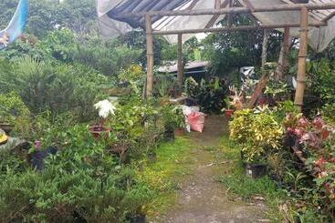 Jardin Botanico Bellavista