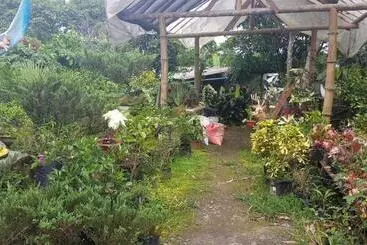 Jardin Botanico Bellavista