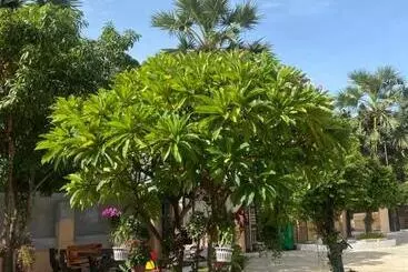 Pension H3 Guesthouse