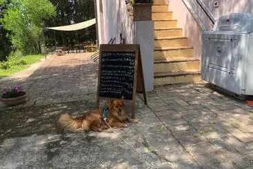 Aamiaismajoitus (B&B) Bb Gli Aristogatti