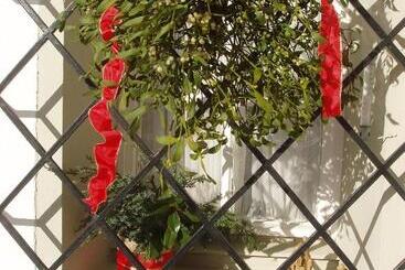 Bed and Breakfast Haus Dr. Küng