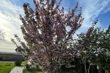 Pensione Guest House & Rooms Chris Toros