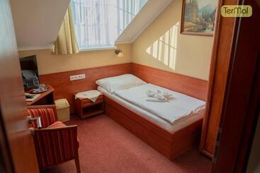 בית מלון כפרי Penzion Termal