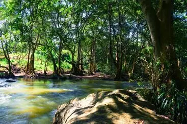 Hotelli River Place Resort Udawalawa