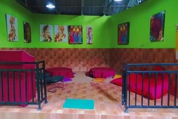 הוסטל Greenview Backpacker Inn