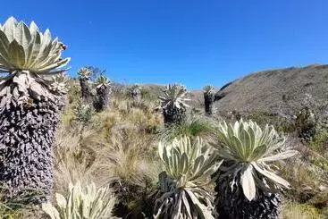 Hotelli Espeletia Lodge