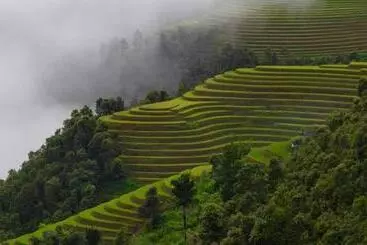 Bed and Breakfast Mountain Valley Local Homestay