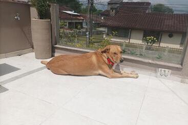 Bed & Breakfast Conforta Rentals & Spa