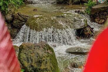 הוסטל Blue Shore Pavilion