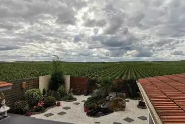 Bed and Breakfast Au Bouchon Champenois
