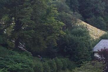 Hotel Residential&guesthouse Living Fürstenbau