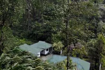 Hotel Mist Nest Cottages Munnar