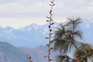 Chakrata Sky Hills Resort & Restaurant