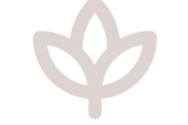 فندق Mimar Alteas