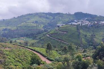 Misty 39 Hills View Resorts