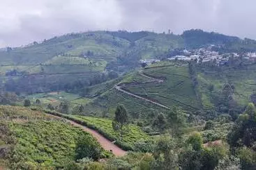 Misty 39 Hills View Resorts