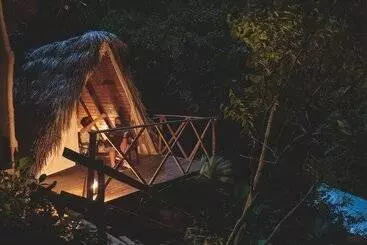 Tigrillo Rio Claroby Loscoloresecoparque