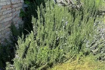 ペンション Affittacamere Ca  De Mazapedar