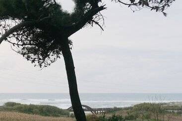 호텔 Parque De Campismo Orbitur Angeiras