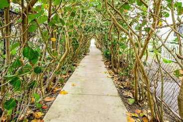 Апарт-отель Isla Palma Singer Island