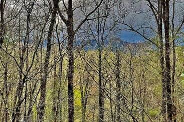 بيت ريفى Secluded Mountain Escape W/ Game Room & Fire Pit!